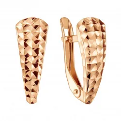 Серьги, Золото 585 Срг06-04